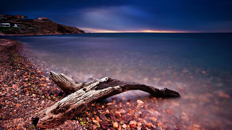 Driftwood on Pebble Beach — Blue, Serene