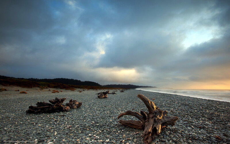 Driftwood on Pebble Beach — Gray, Dramatic