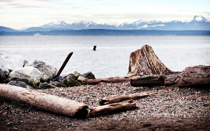 Driftwood on Pebble Beach — Gray, Serene