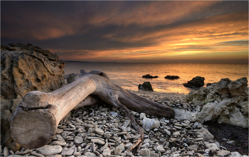 Driftwood on Pebble Beach — Orange, Dramatic, Sunset