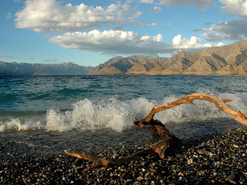 Driftwood on Pebble Beach