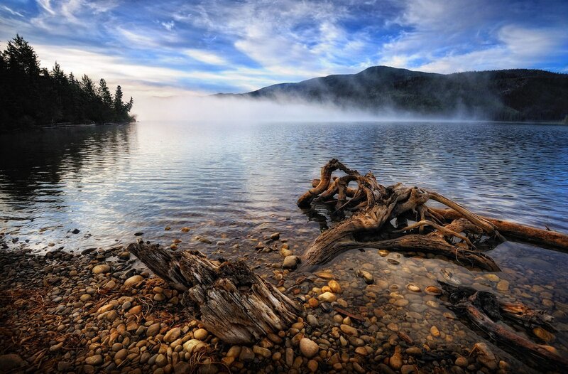 Driftwood on Pebble Shore