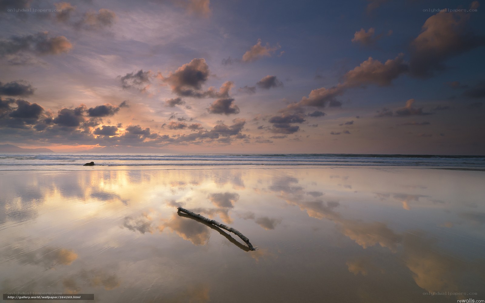 Driftwood on reflective beach