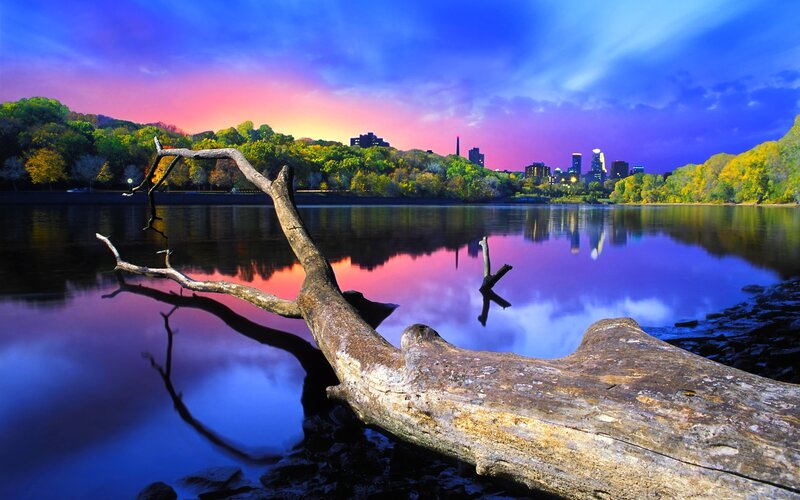 Driftwood on Riverbank — Blue