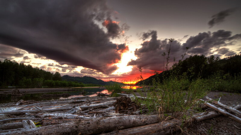 Driftwood on Riverbank — Orange, Dramatic