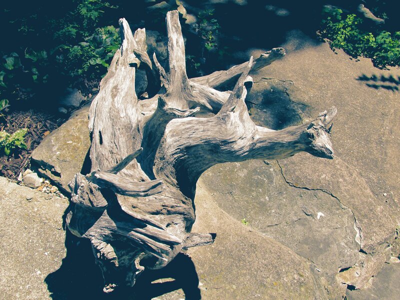 Driftwood on Rocks — Gray