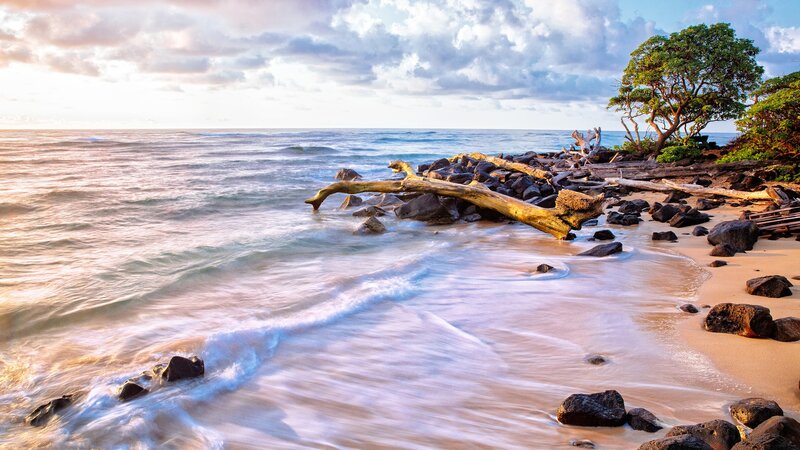 Driftwood on Rocky Beach — Blue, Serene, Sunset