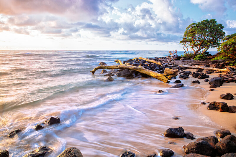 Driftwood on Rocky Beach — Blue, Serene