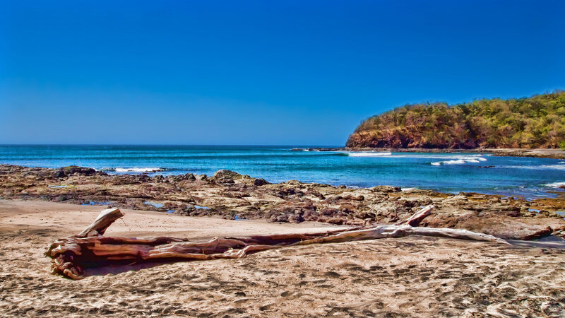Driftwood on Rocky Beach — Blue