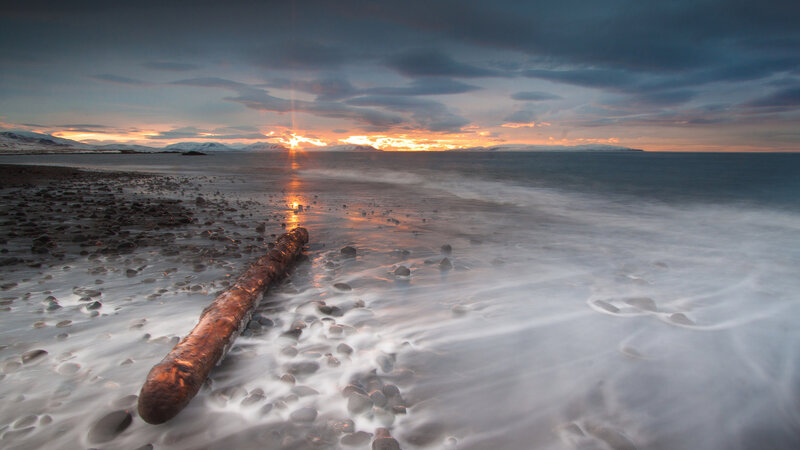 Driftwood on Rocky Beach — Orange, Serene