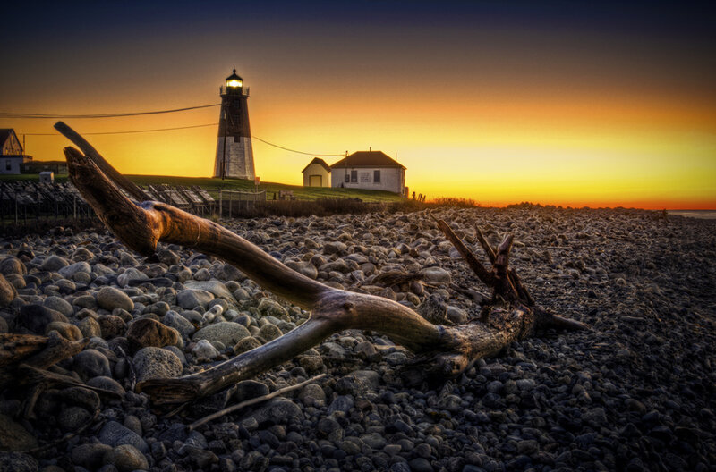 Driftwood on Rocky Beach