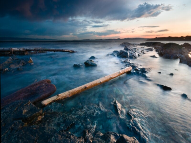 Driftwood on Rocky Shore — Blue, Dramatic