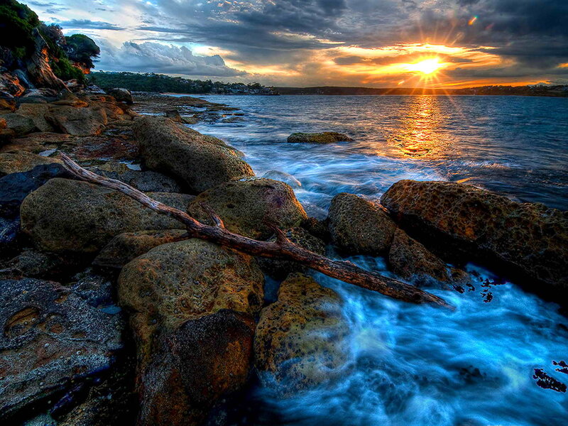 Driftwood on Rocky Shore — Blue