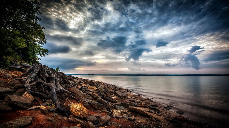 Driftwood on Rocky Shore — Gray, Dramatic