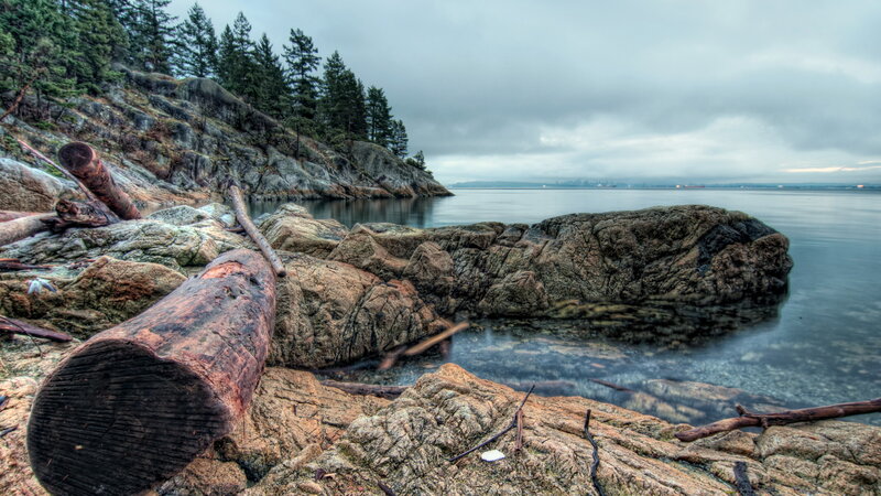 Driftwood on Rocky Shore — Gray, Overcast