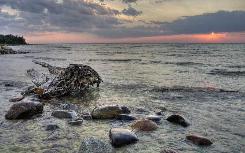 Driftwood on Rocky Shore — Gray