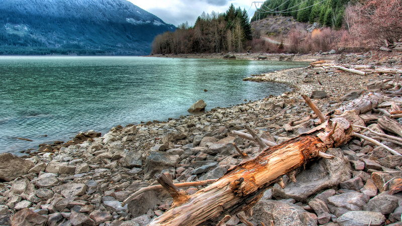 Driftwood on Rocky Shore — Green