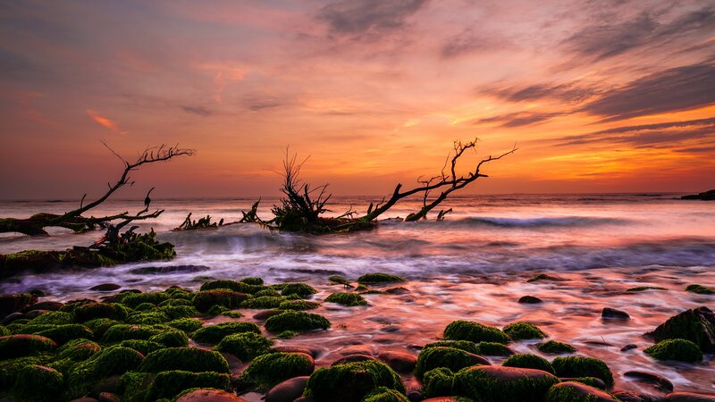 Driftwood on Rocky Shore — Orange, Dramatic, Sunset