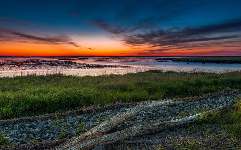 Driftwood on Rocky Shore — Orange, Serene, Sunset