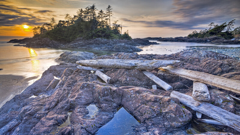 Driftwood on Rocky Shore — Orange