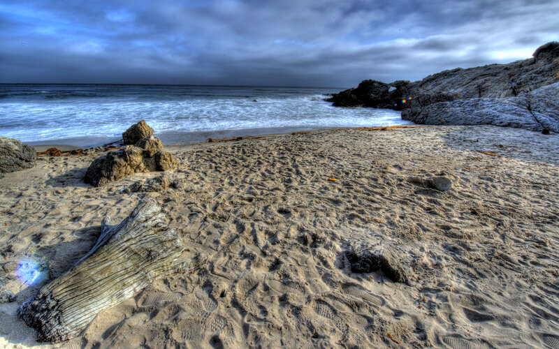 Driftwood on Sandy Beach — Blue, Dramatic