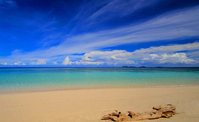 Driftwood on Sandy Beach — Blue, Serene, Afternoon