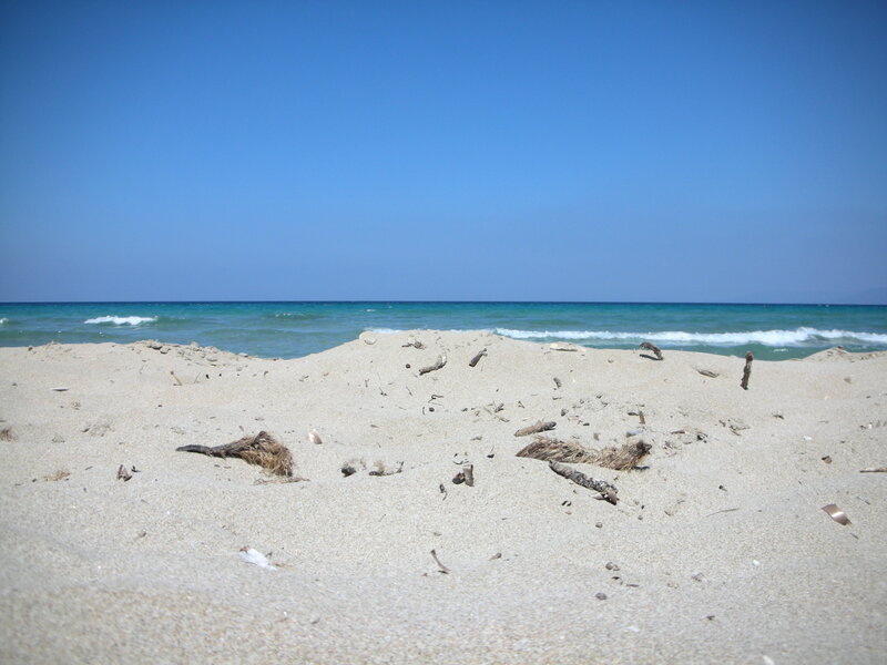 Driftwood on Sandy Beach — Blue