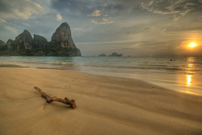 Driftwood on Sandy Beach — Gold