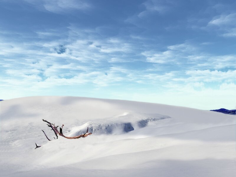 Driftwood on Snow Dune