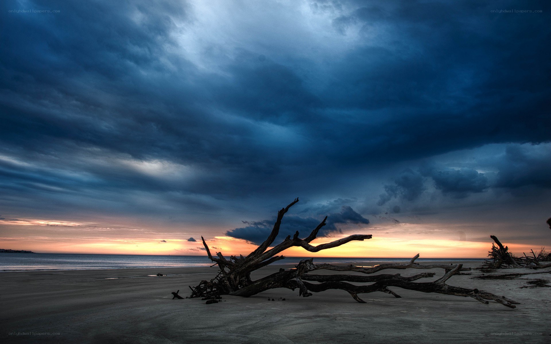 Driftwood on stormy beach at sunset