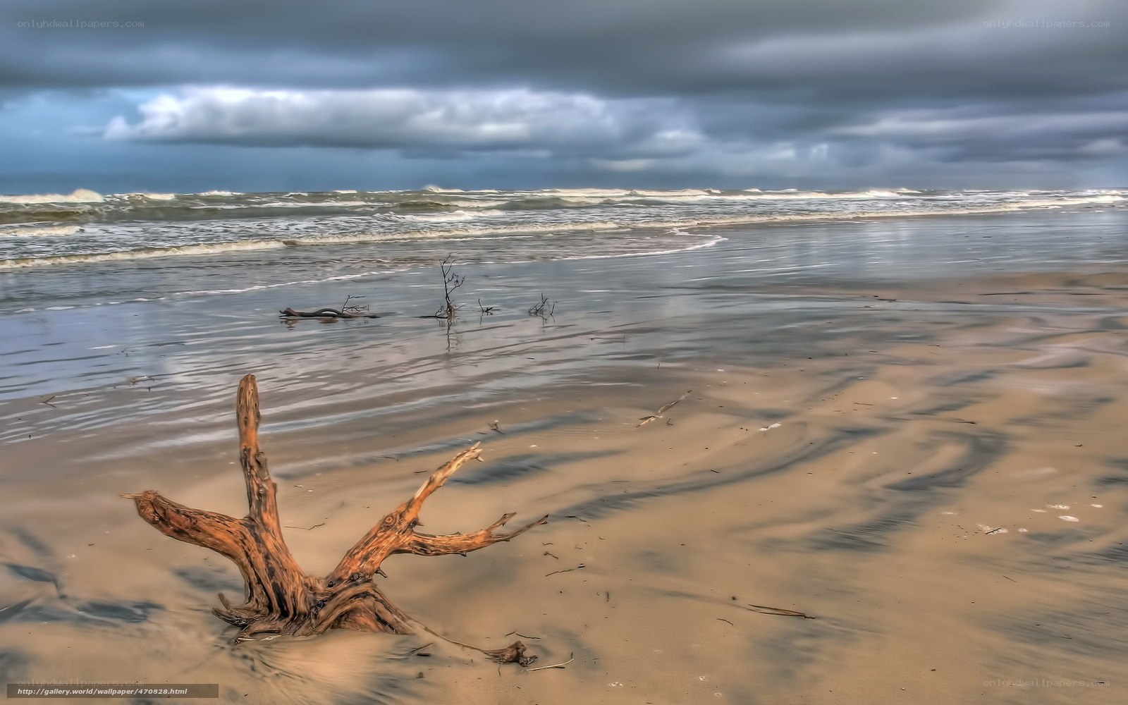 Driftwood on stormy beach