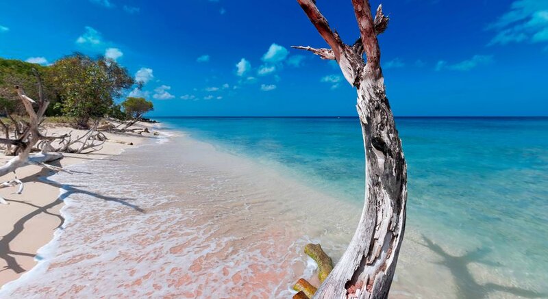 Driftwood on Tropical Beach — Blue, Serene, Afternoon