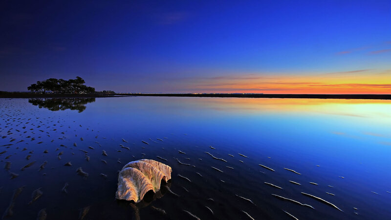 Driftwood on Wet Sand — Blue, Serene, Sunset, Photograph