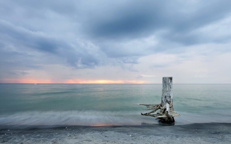 Driftwood Post on Beach — Blue