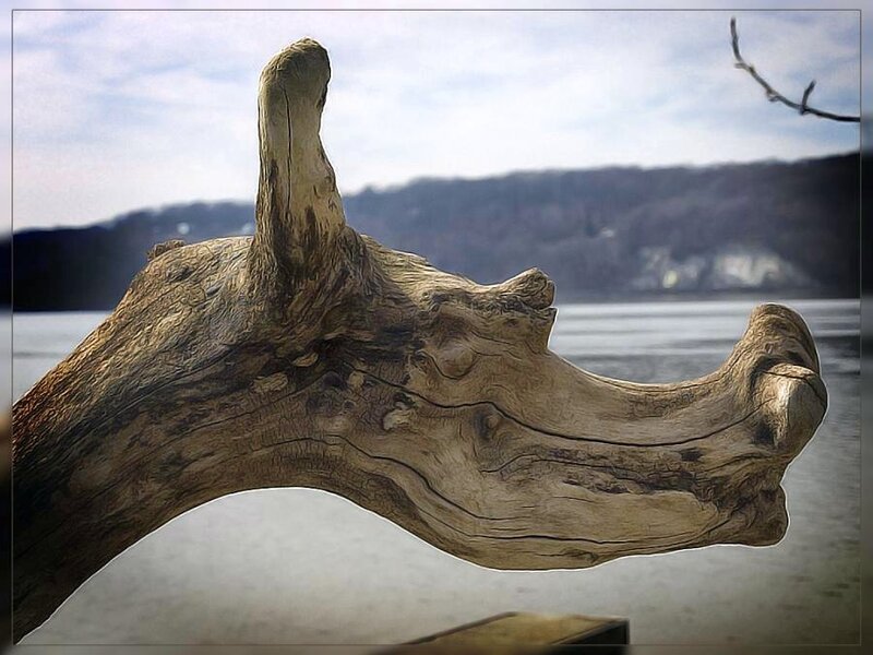 Driftwood sculpture by the water