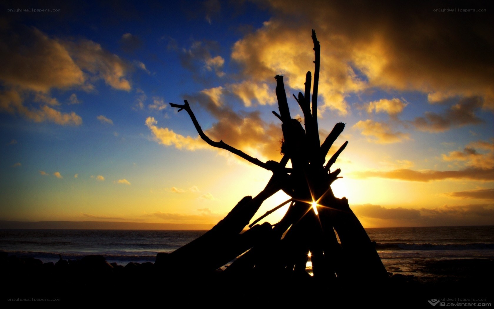 Driftwood silhouette at sunset