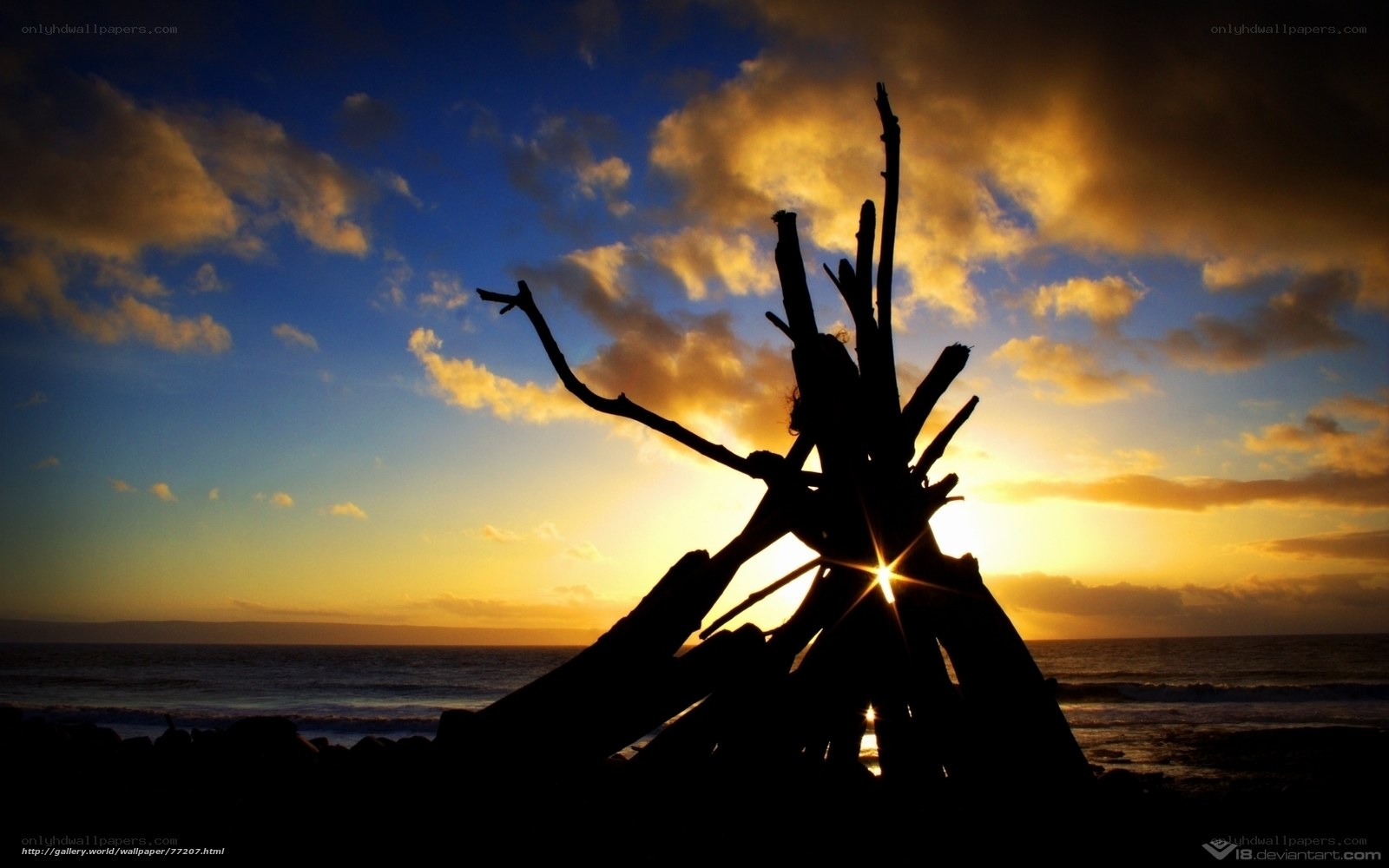 Driftwood silhouette at sunset