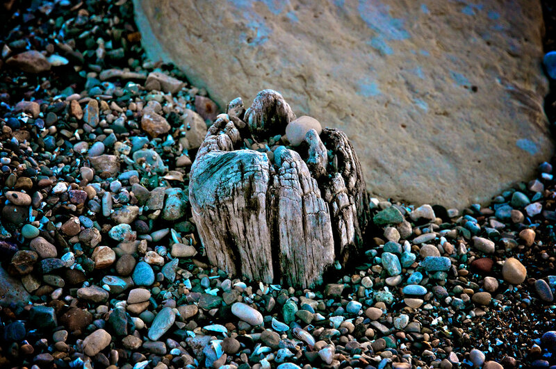 Driftwood Stump on Pebbles