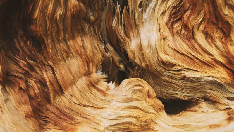 Driftwood Texture — Brown