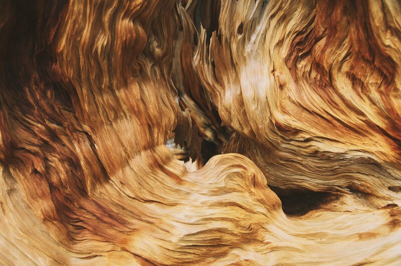 Driftwood Texture
