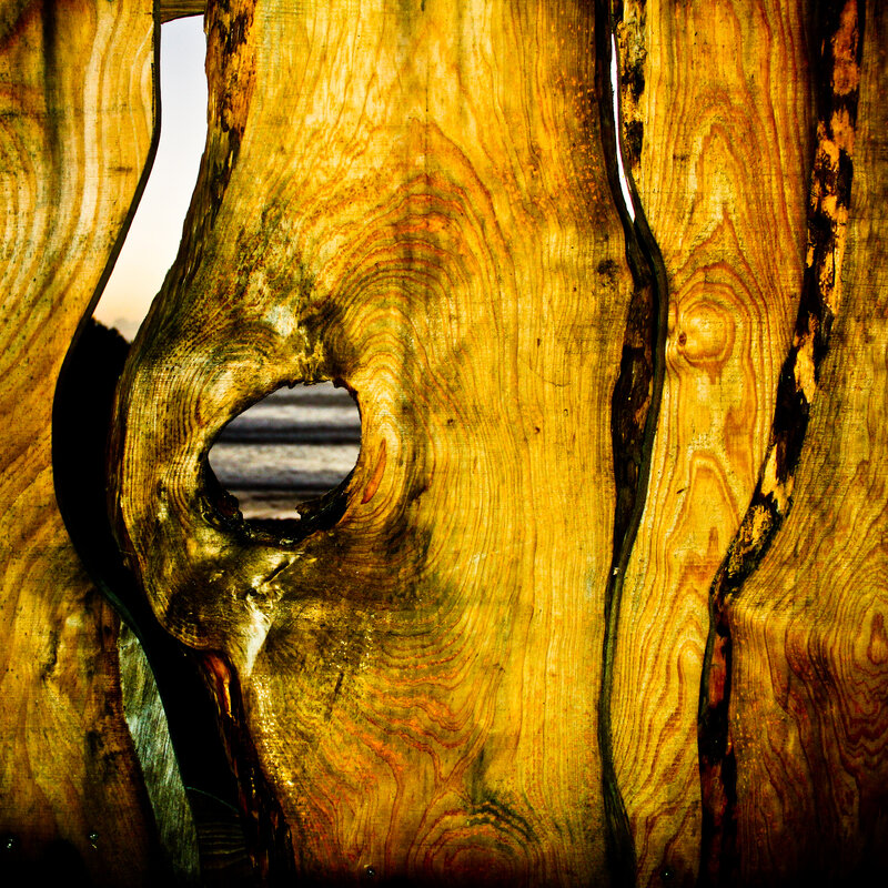 Driftwood with Hole