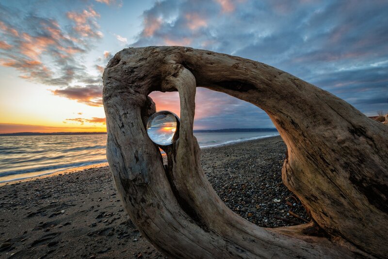 Driftwood with Lens Ball