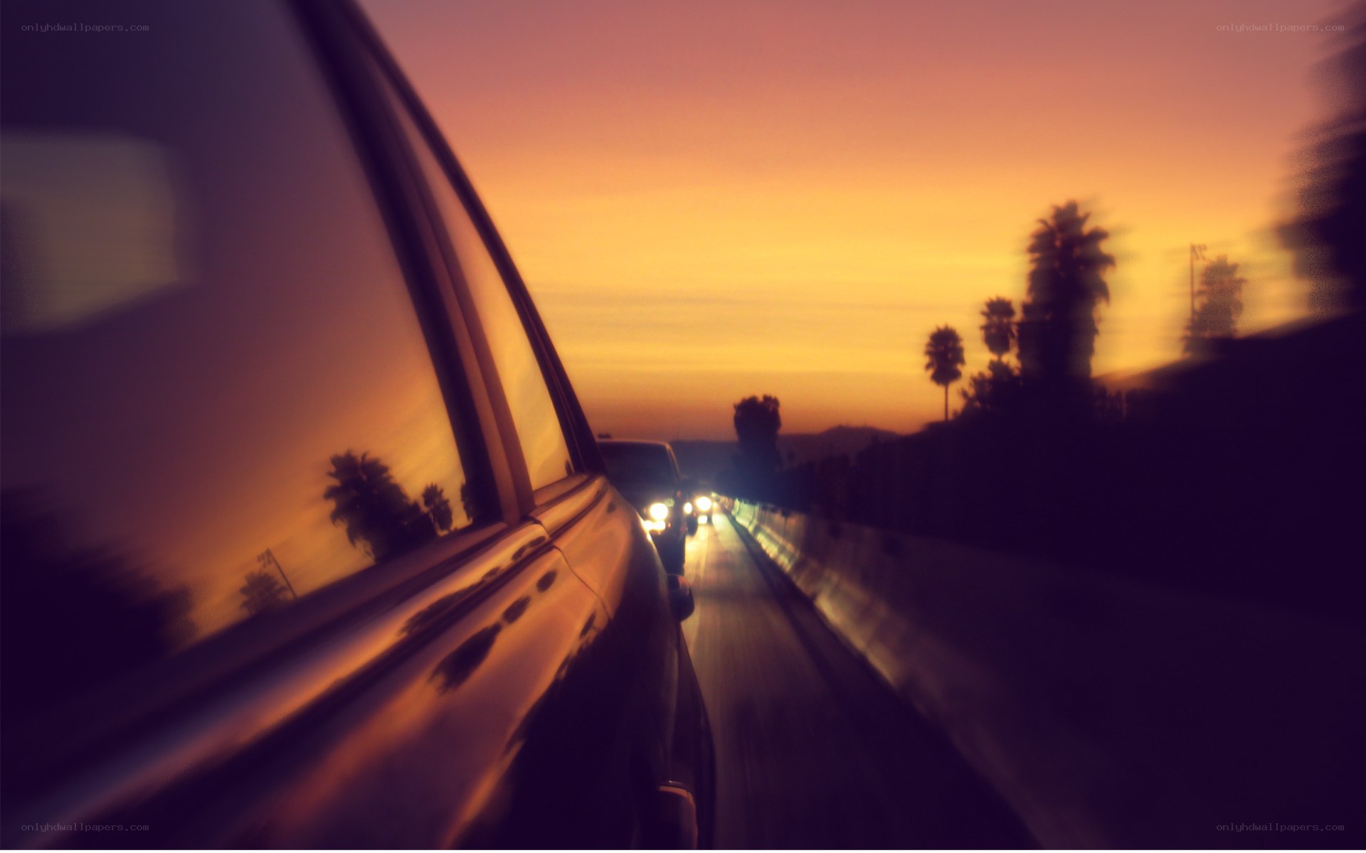 Driving at sunset with palm trees