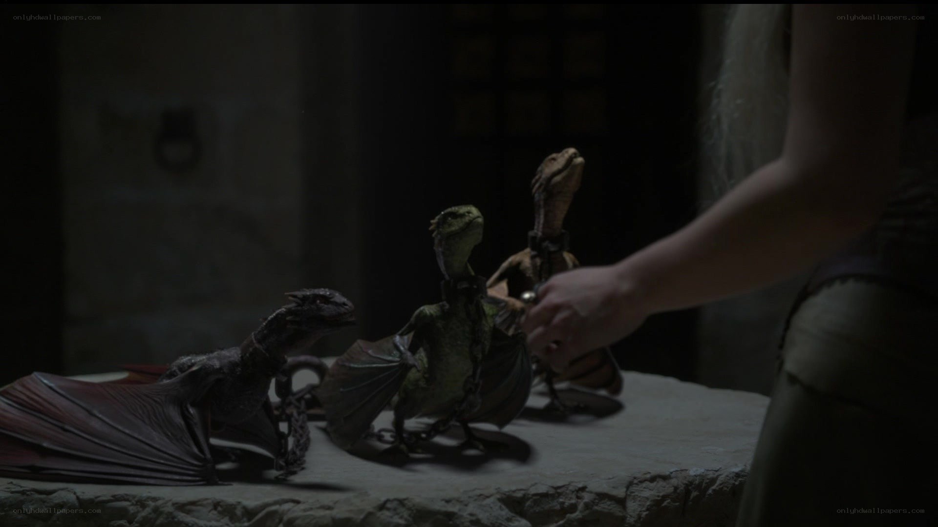 Drogon and dragon hatchlings
