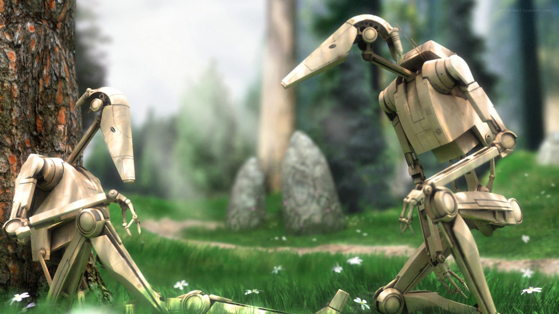 droids in a forest