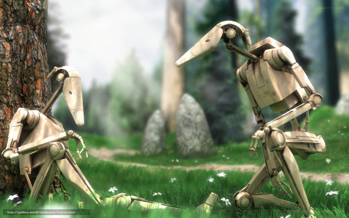Droids in a forest