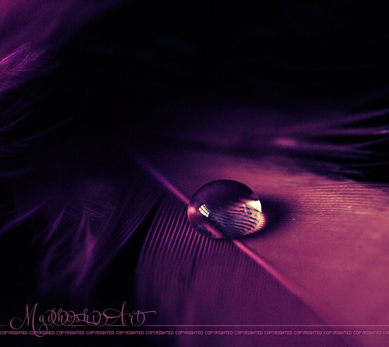Drop on Feather