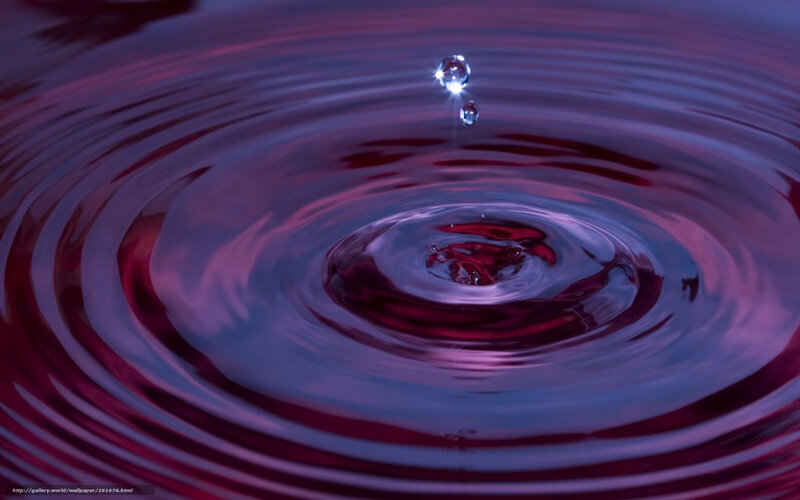 Droplet Creating Ripples — Purple, Calm, Photograph, Drop