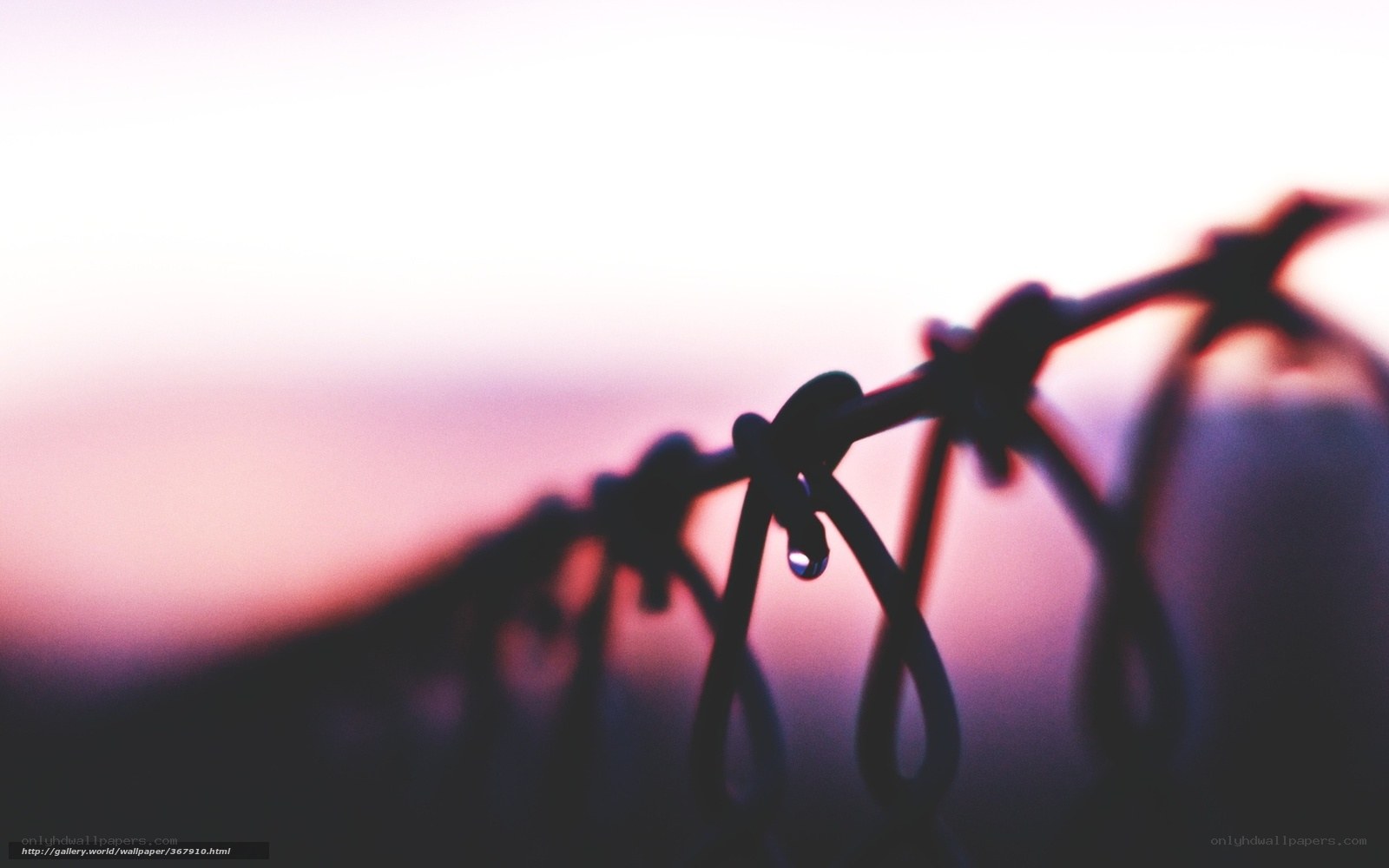 Droplet on a wire fence