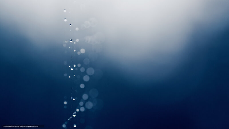 Droplets on a Web